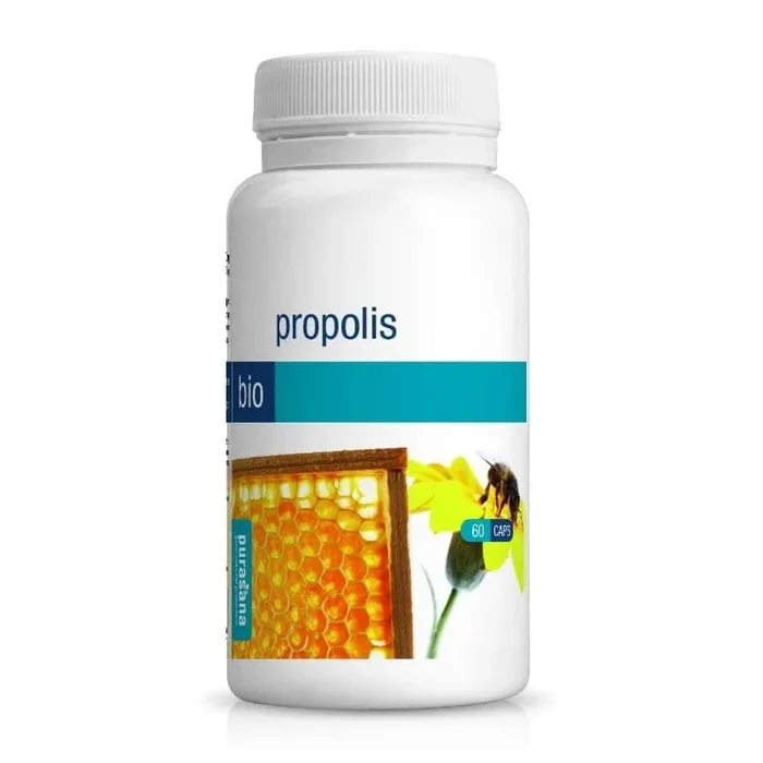 Propolis in Kapseln BIO 177 g (60 Stück) – PURASANA