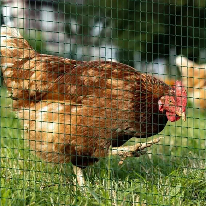 PVC Coated Galvanised Welded Wire Mesh – 90cm x 30m Roll | Heavy-Duty Poultry PAWHUT