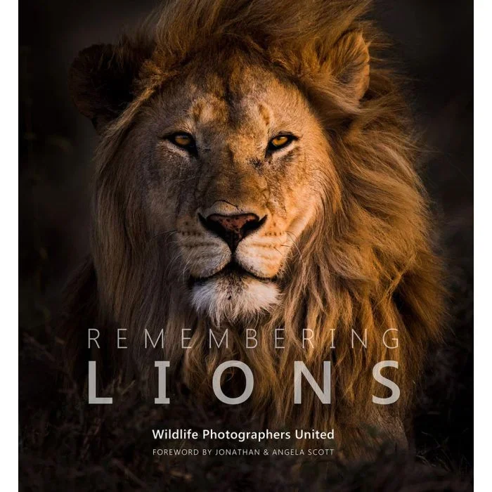 Remembering Lions