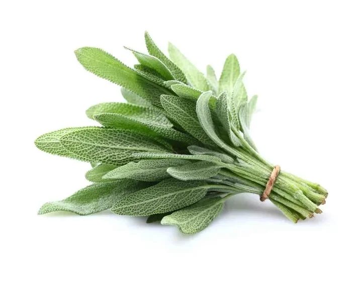 Sage – 20g