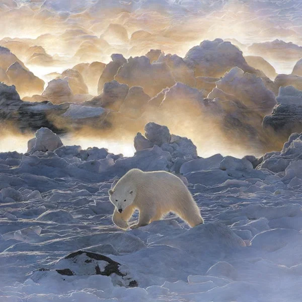 Save The Tiger Home Polar Bear Christmas Card by Paper Tiger