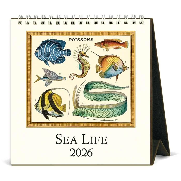 Sea Life 2026 Desk Calendar