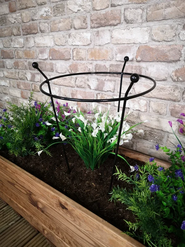 Small 60cm x 35cm Heavy Duty Black Steel Herbaceous Garden Plant Support Ring