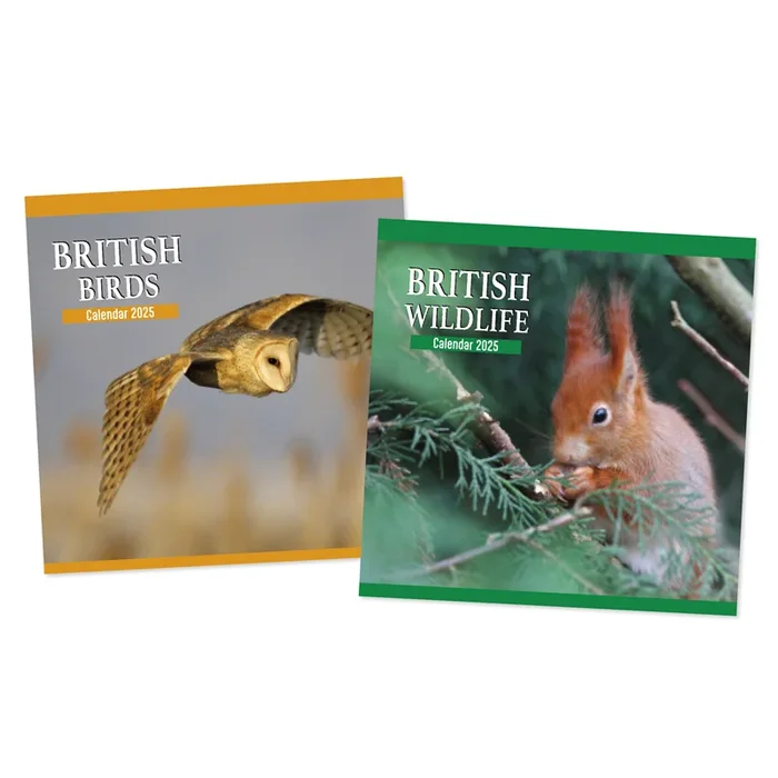 Square Calendar Birds & Wildlife Year 2025 – Case of 12