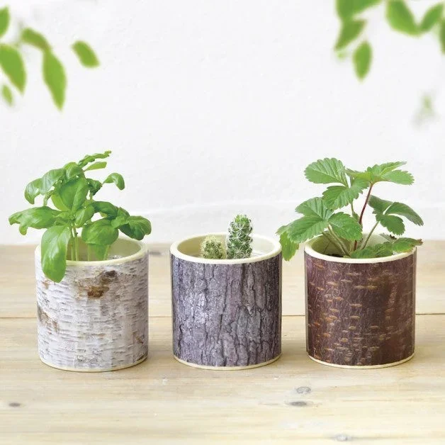 Stump Garden