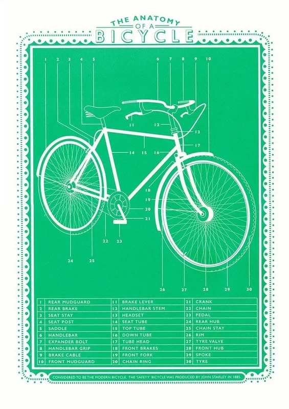 The Anatomy of A Bicycle A3 Print