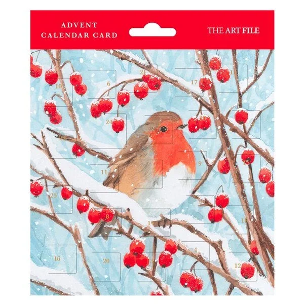 Tim Mason Robin Advent Card