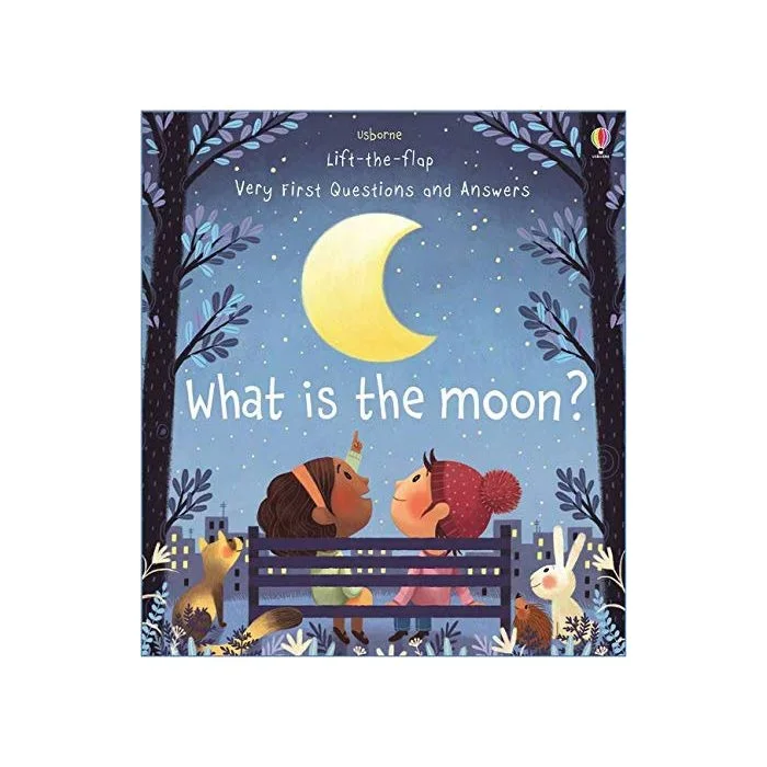 What is the Moon?